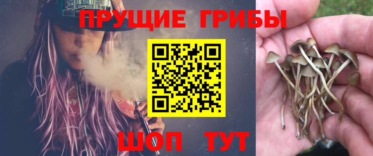 Галлюциногенные грибы прущие грибы  Галлюциногенные грибы Psilocybe  Ишим  цена наркотик  Вход с VPN 